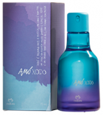 Amó Xodó: minha nova lavanda